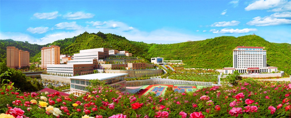 三季有花、四季常青的金徽礦區(qū)-p2.jpg